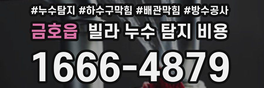 금호읍 빌라 누수 탐지 비용