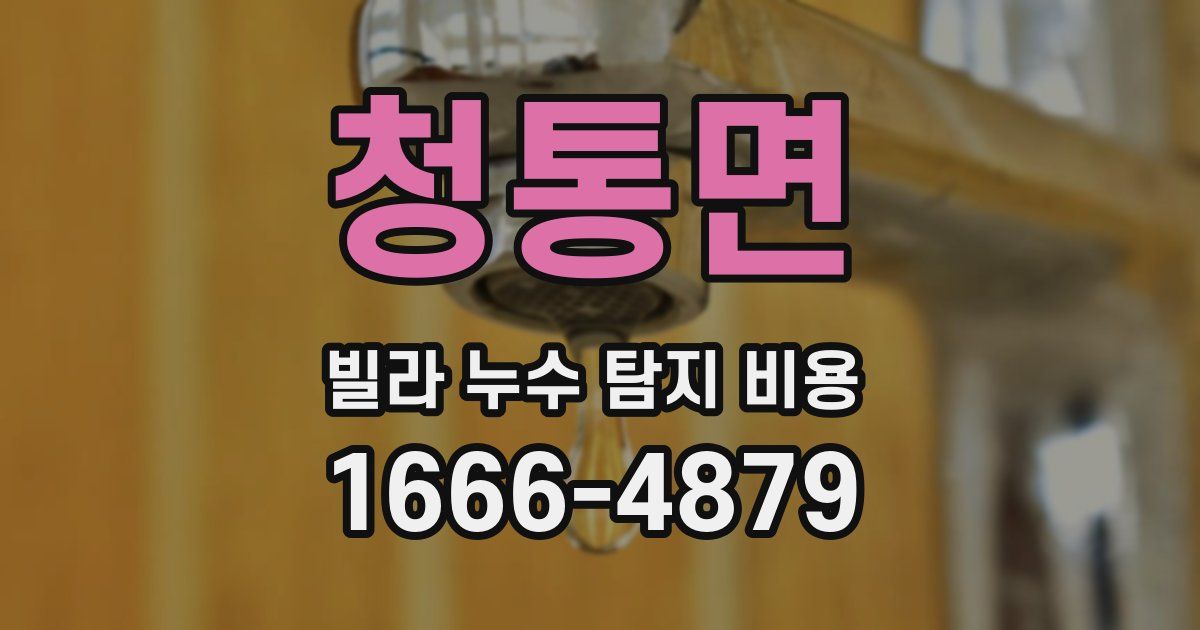 청통면 빌라 누수 탐지 비용