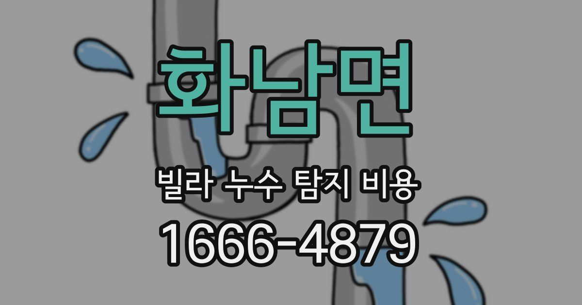 화남면 빌라 누수 탐지 비용
