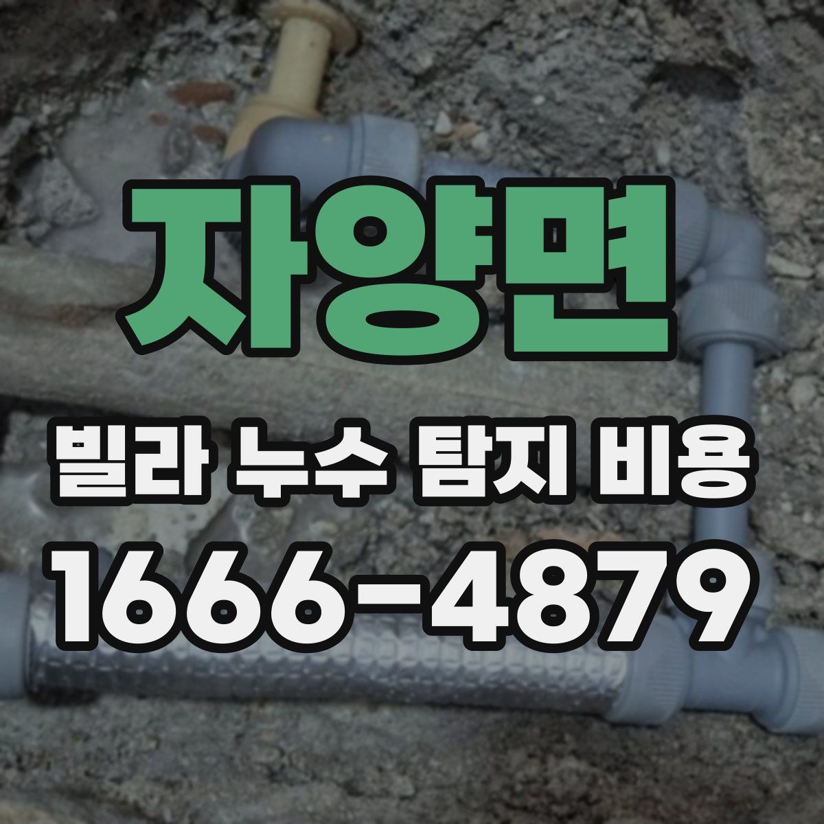 자양면 빌라 누수 탐지 비용
