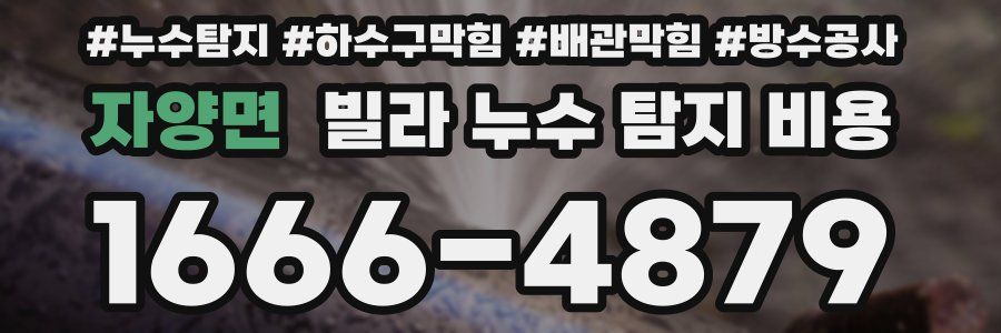 자양면 빌라 누수 탐지 비용