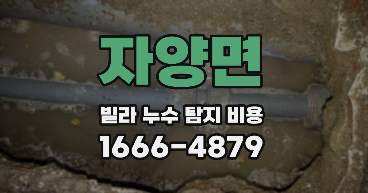 자양면 빌라 누수 탐지 비용