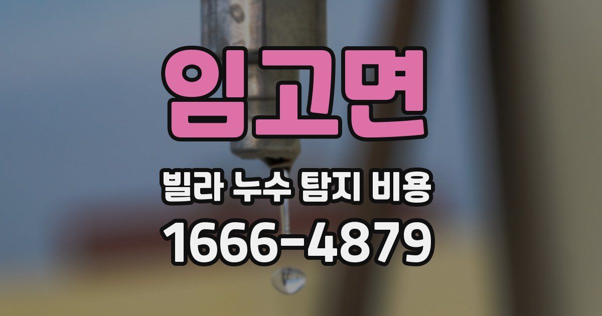임고면 빌라 누수 탐지 비용