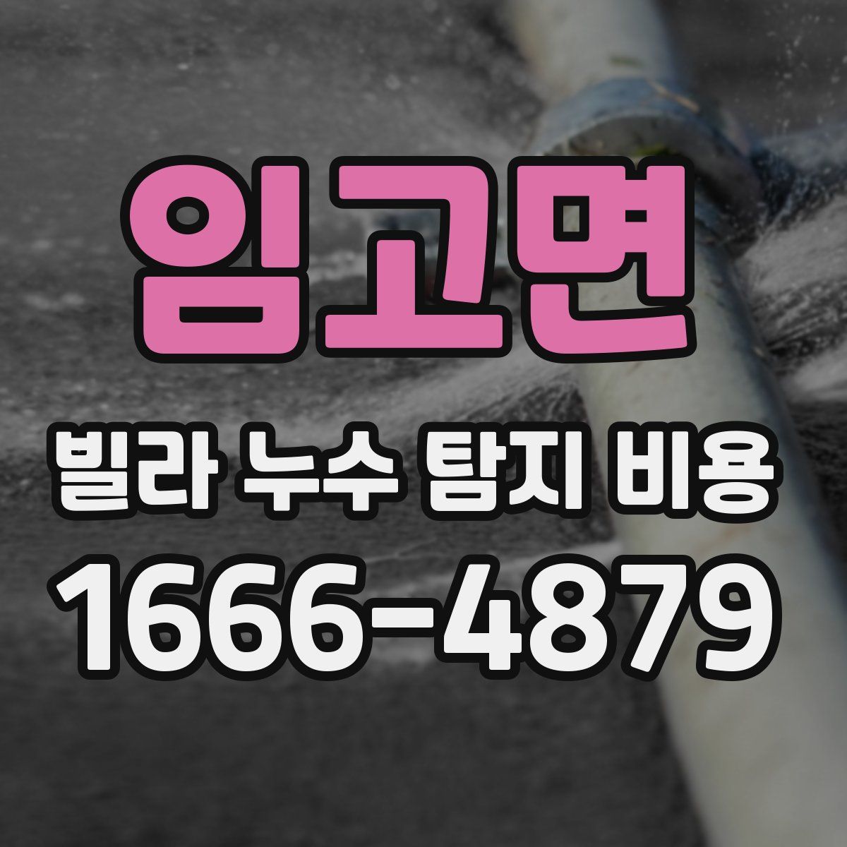 임고면 빌라 누수 탐지 비용
