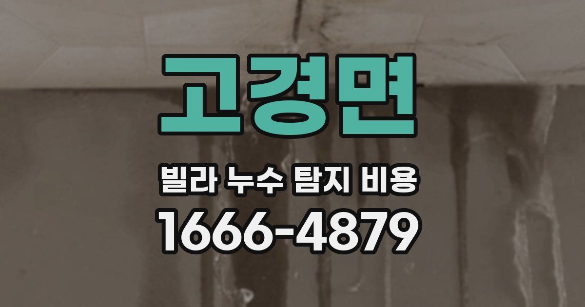 고경면 빌라 누수 탐지 비용