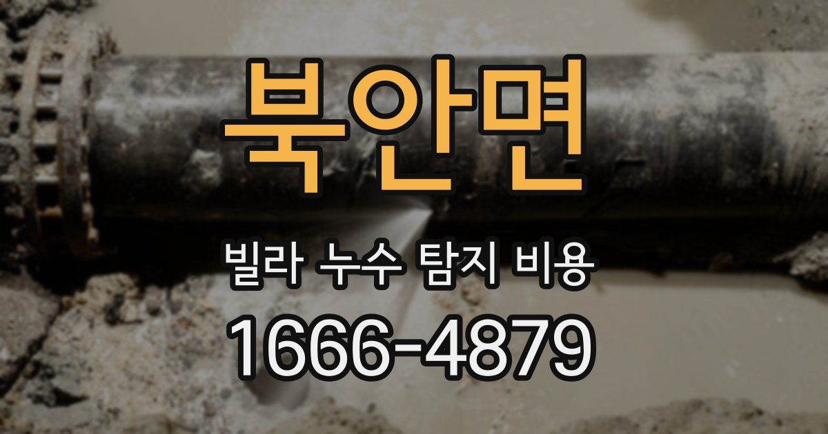 북안면 빌라 누수 탐지 비용