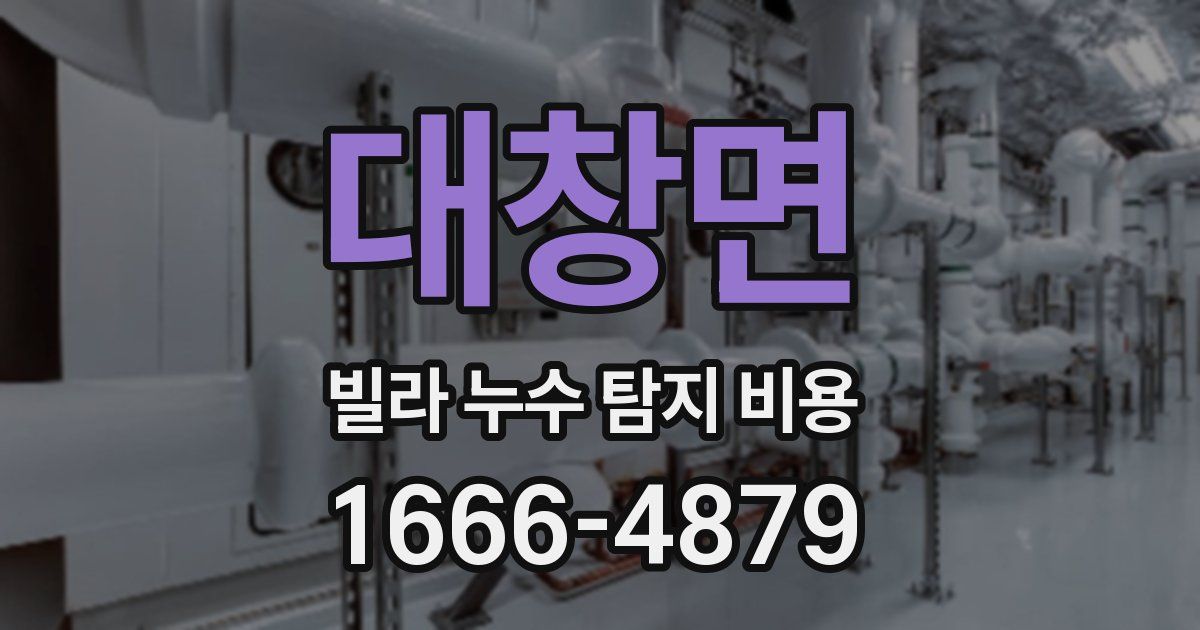 대창면 빌라 누수 탐지 비용