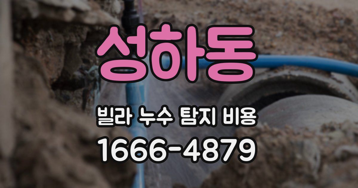 성하동 빌라 누수 탐지 비용