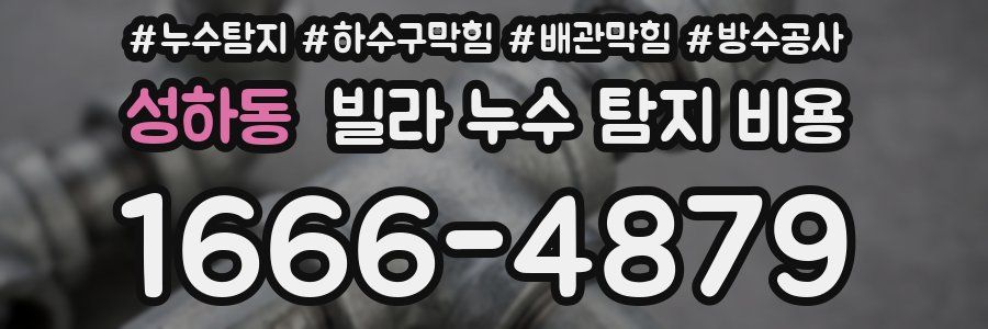 성하동 빌라 누수 탐지 비용