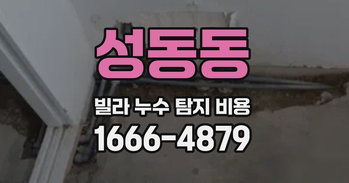 성동동 빌라 누수 탐지 비용