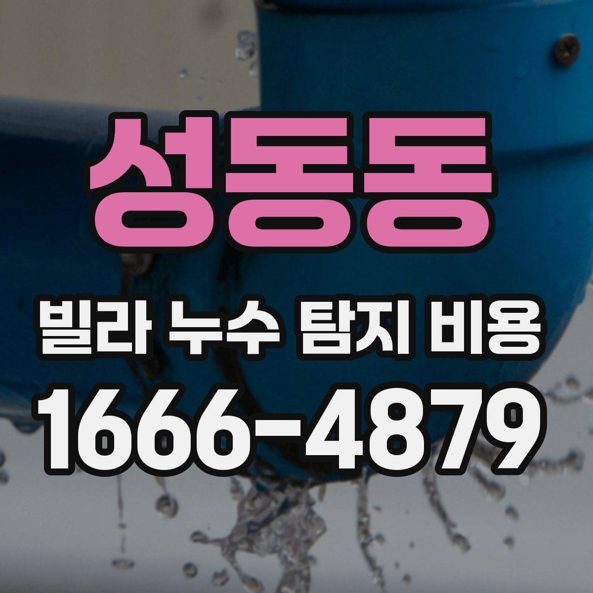 성동동 빌라 누수 탐지 비용
