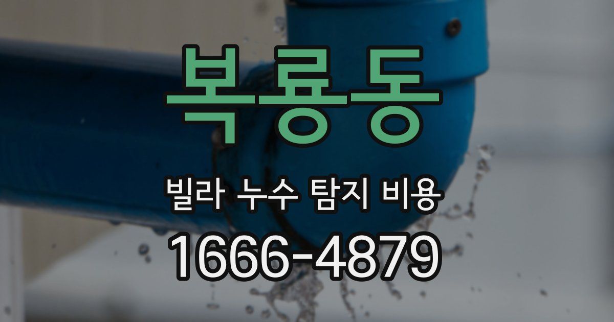 복룡동 빌라 누수 탐지 비용