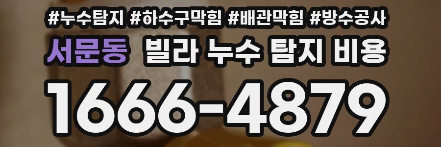 서문동 빌라 누수 탐지 비용