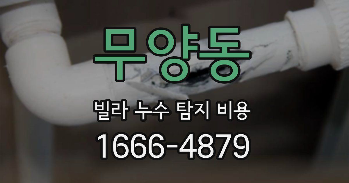 무양동 빌라 누수 탐지 비용