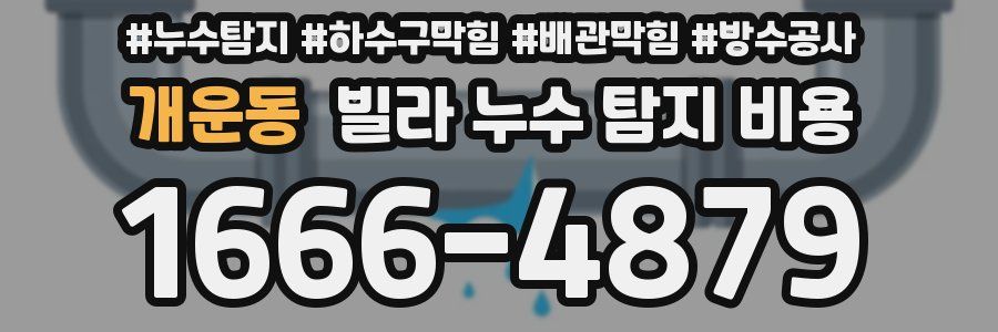 개운동 빌라 누수 탐지 비용