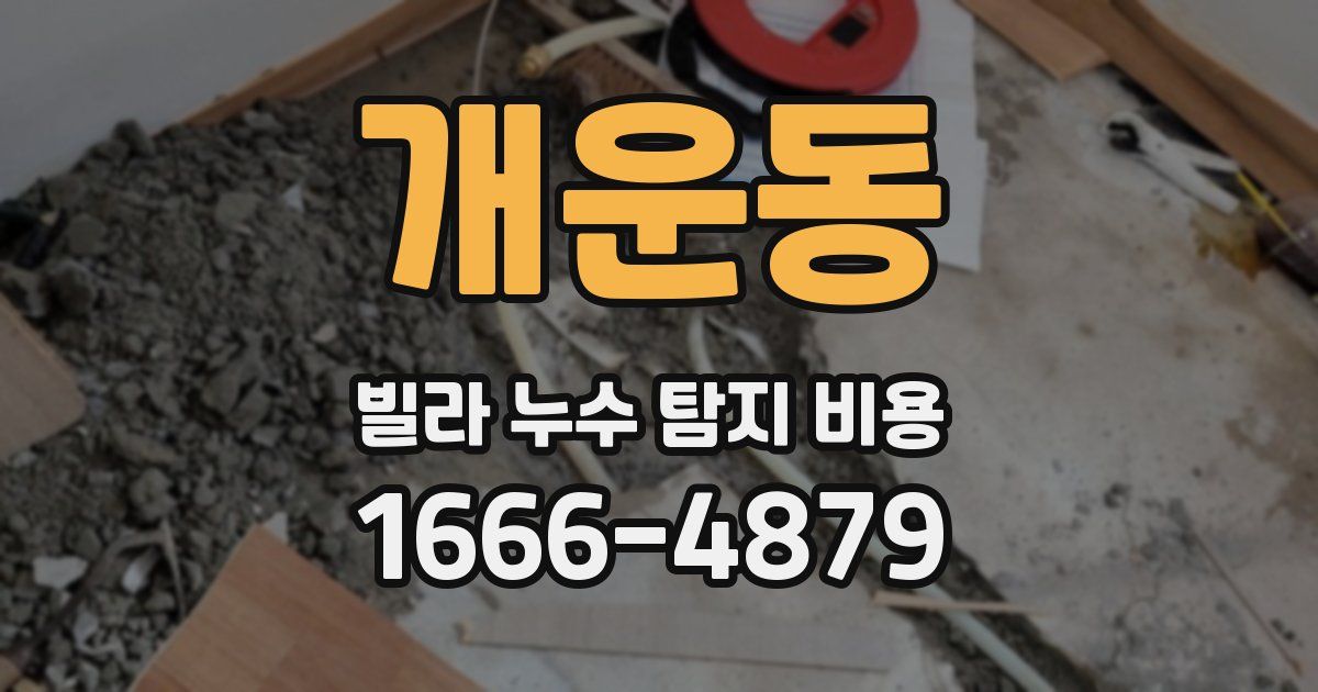 개운동 빌라 누수 탐지 비용
