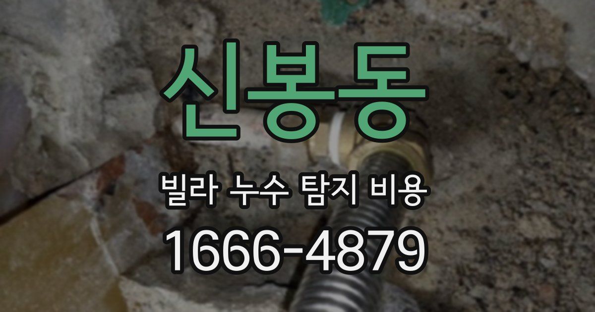 신봉동 빌라 누수 탐지 비용