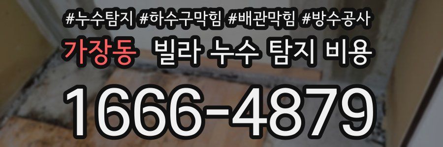 가장동 빌라 누수 탐지 비용