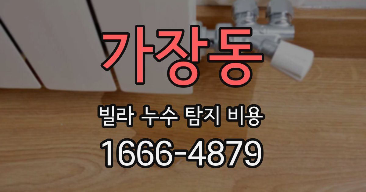 가장동 빌라 누수 탐지 비용