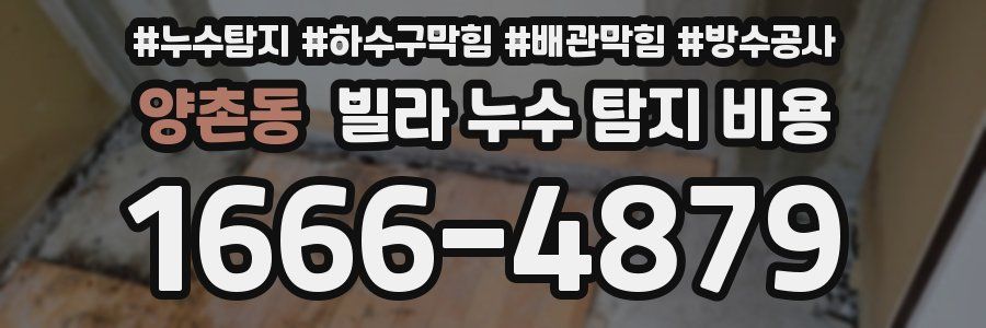 양촌동 빌라 누수 탐지 비용