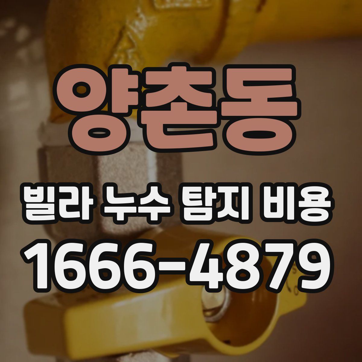 양촌동 빌라 누수 탐지 비용