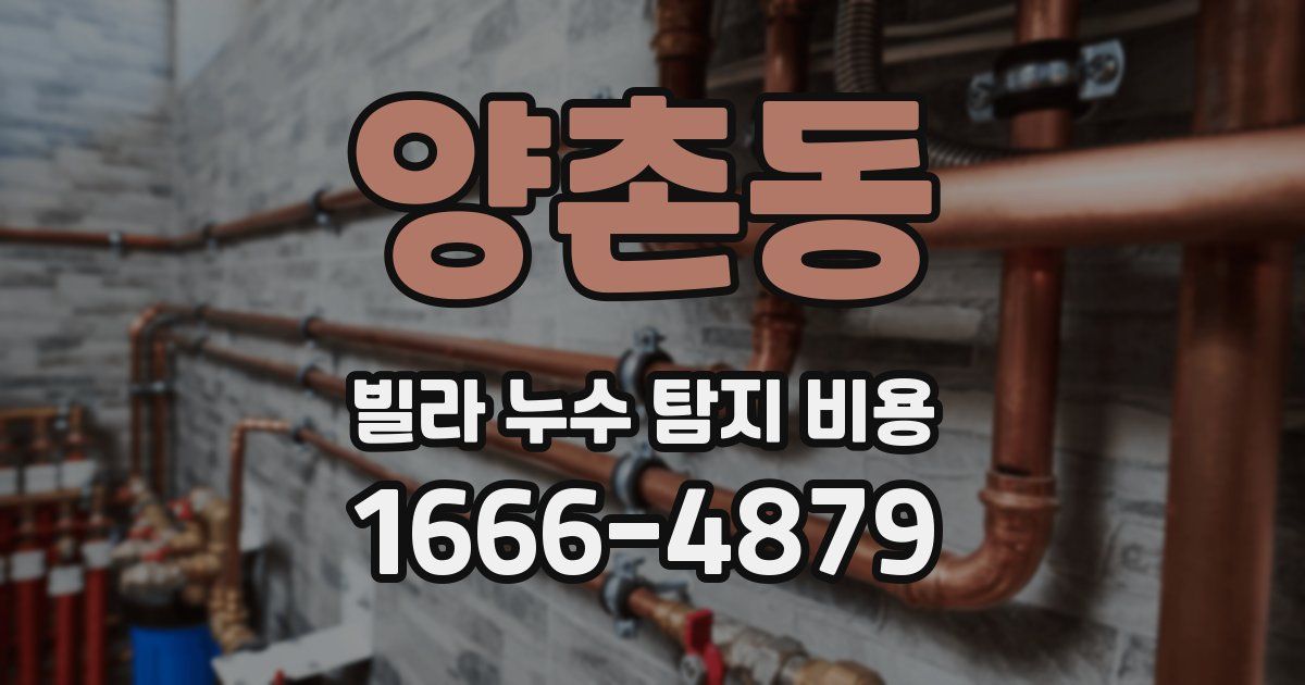 양촌동 빌라 누수 탐지 비용