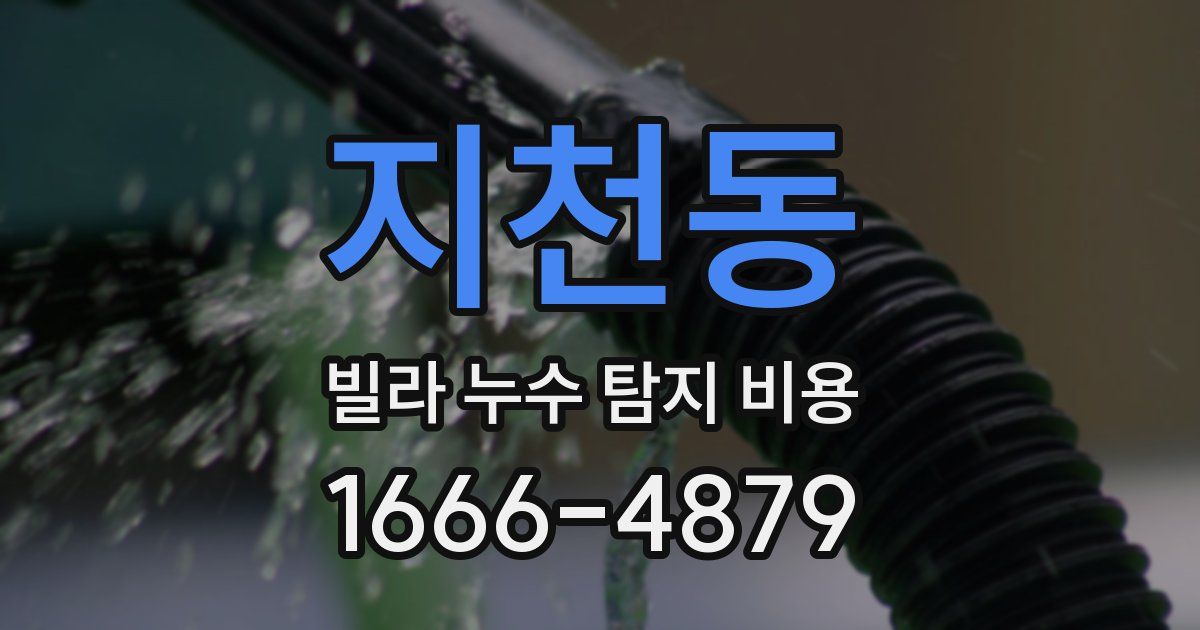 지천동 빌라 누수 탐지 비용