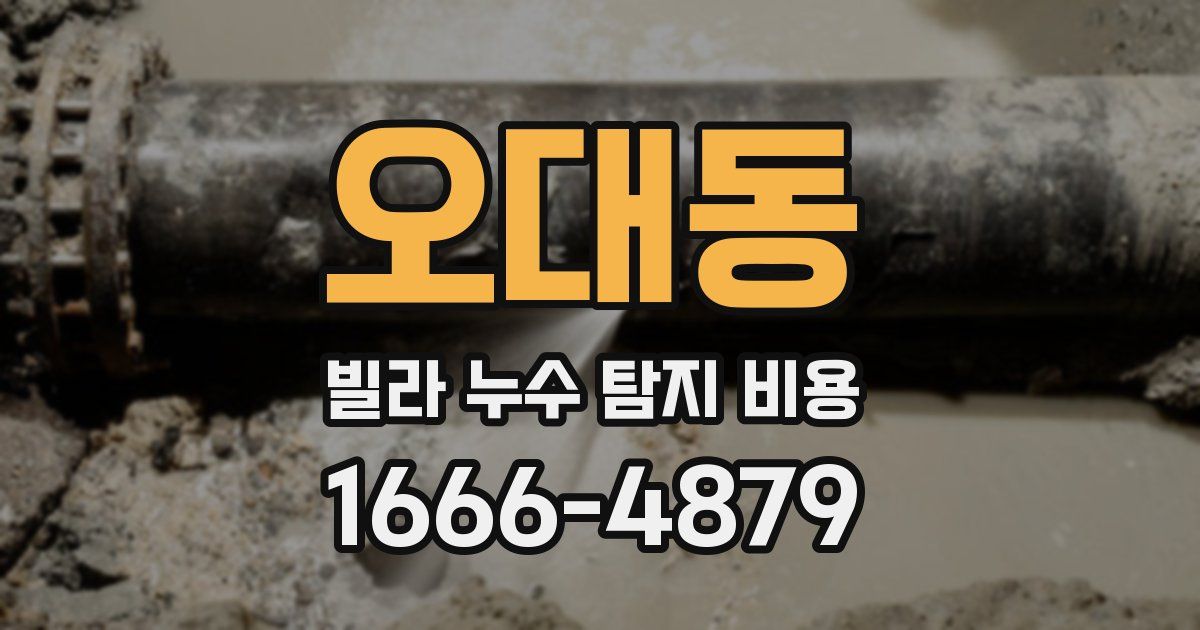 오대동 빌라 누수 탐지 비용