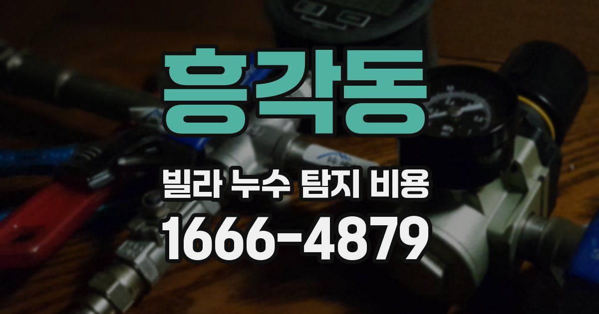 흥각동 빌라 누수 탐지 비용