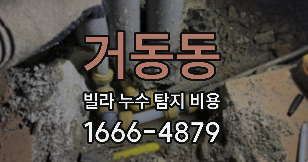 거동동 빌라 누수 탐지 비용