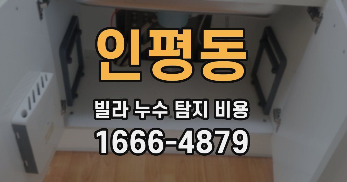 인평동 빌라 누수 탐지 비용