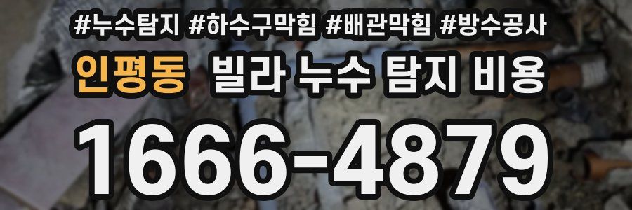 인평동 빌라 누수 탐지 비용