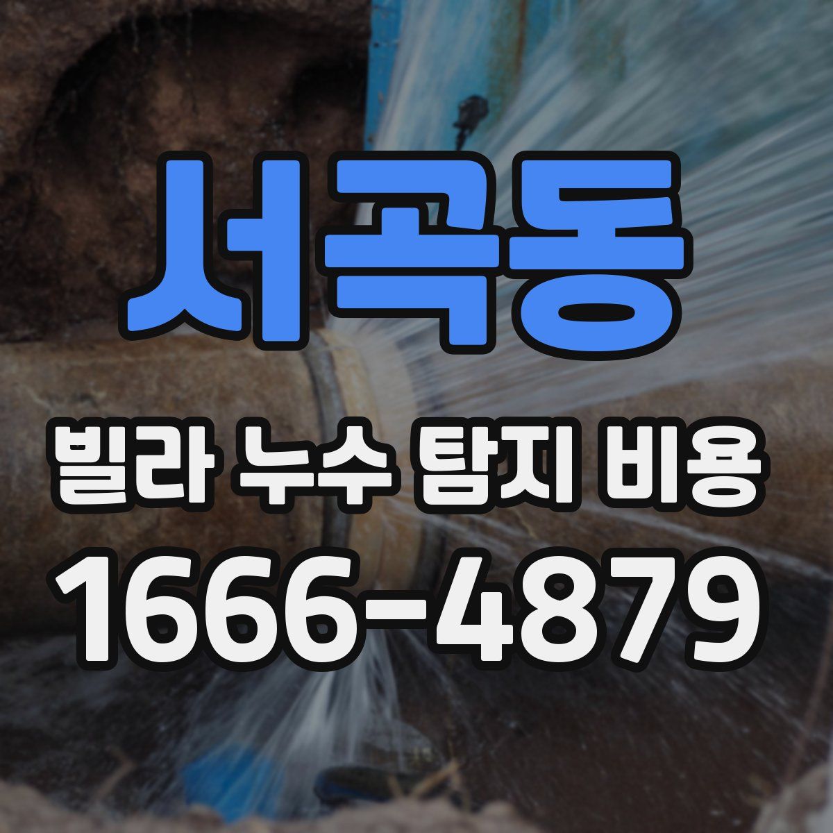서곡동 빌라 누수 탐지 비용