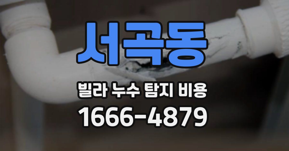서곡동 빌라 누수 탐지 비용