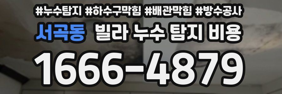 서곡동 빌라 누수 탐지 비용
