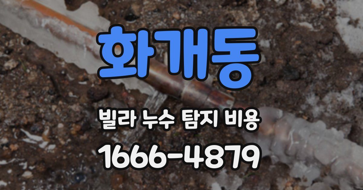 화개동 빌라 누수 탐지 비용