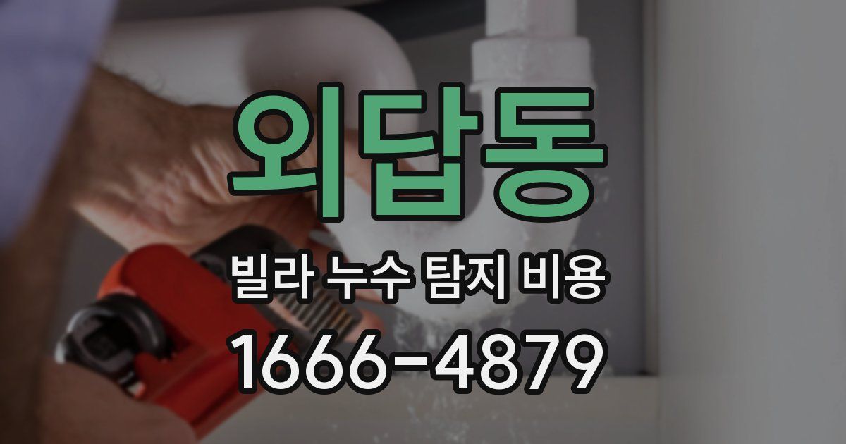 외답동 빌라 누수 탐지 비용