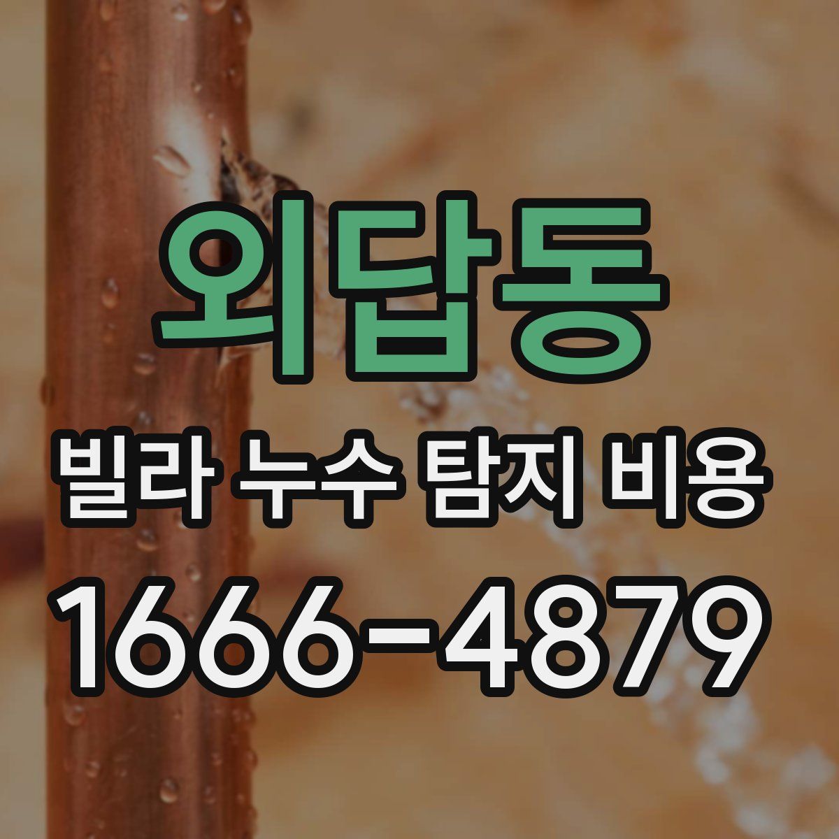 외답동 빌라 누수 탐지 비용