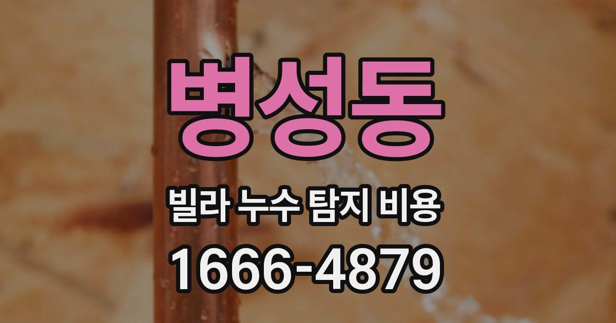 병성동 빌라 누수 탐지 비용