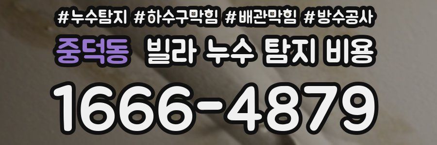 중덕동 빌라 누수 탐지 비용