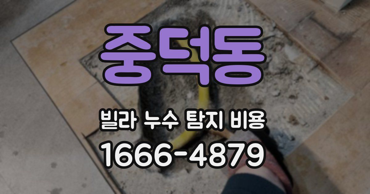 중덕동 빌라 누수 탐지 비용