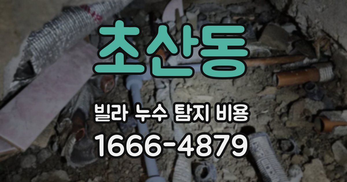초산동 빌라 누수 탐지 비용