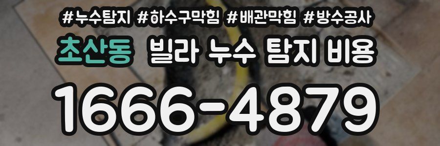 초산동 빌라 누수 탐지 비용