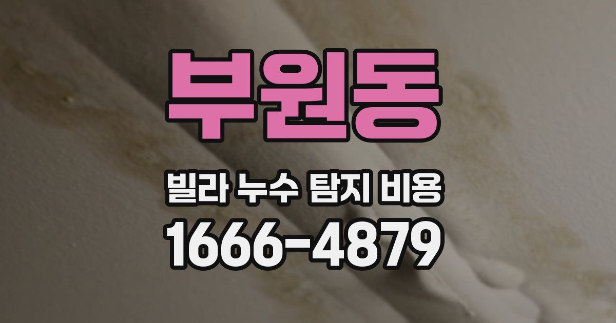 부원동 빌라 누수 탐지 비용