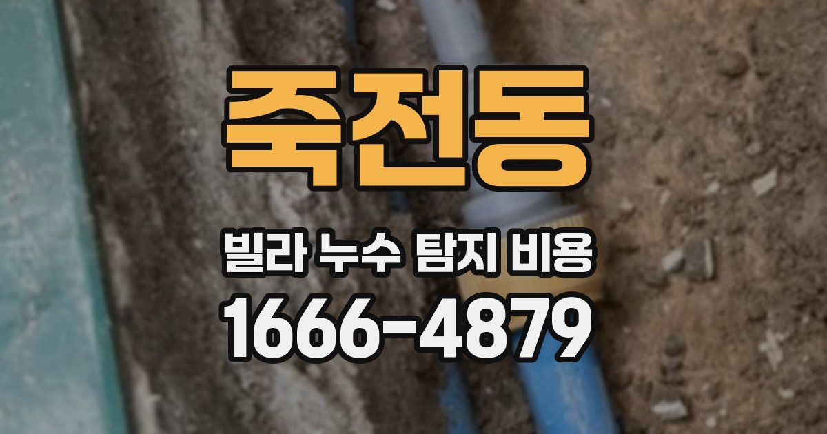 죽전동 빌라 누수 탐지 비용