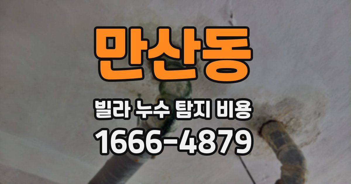 만산동 빌라 누수 탐지 비용