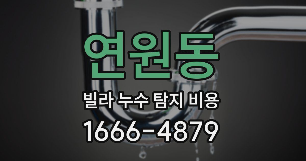 연원동 빌라 누수 탐지 비용