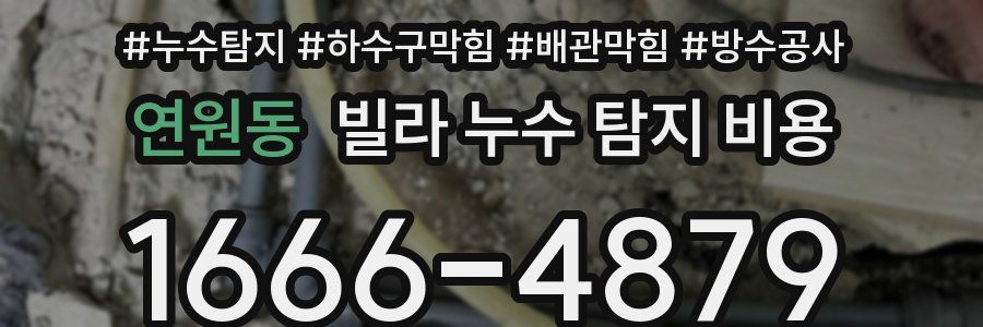 연원동 빌라 누수 탐지 비용