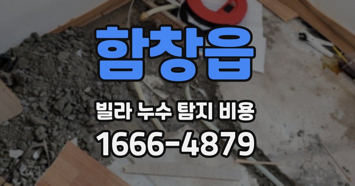 함창읍 빌라 누수 탐지 비용
