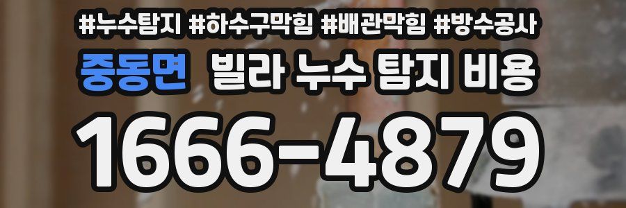 중동면 빌라 누수 탐지 비용